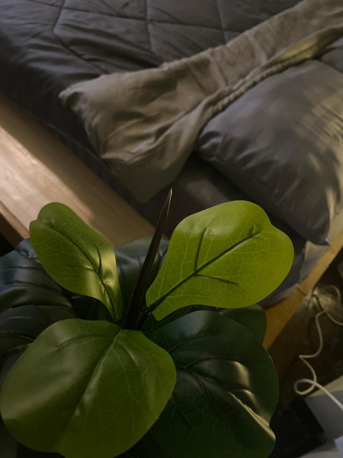 בנגקוק Rhythm Of Life Guesthouse 56 מראה חיצוני תמונה